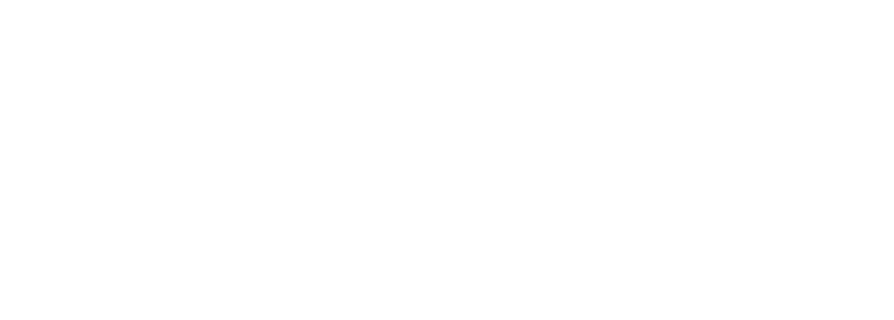 PAHO Logo